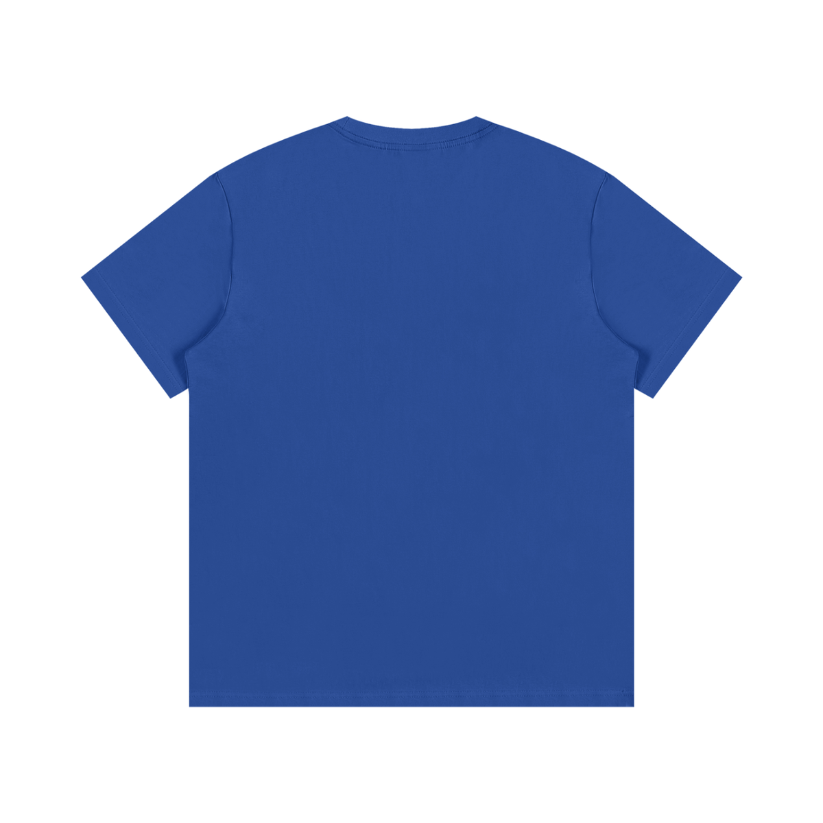 tshirt,cotton,unisex,cloth,graphic,apparel,streetwear,street,outdoor,casual,jesus,faith,christian,y2k,bible,scripture,hope,holy,grace