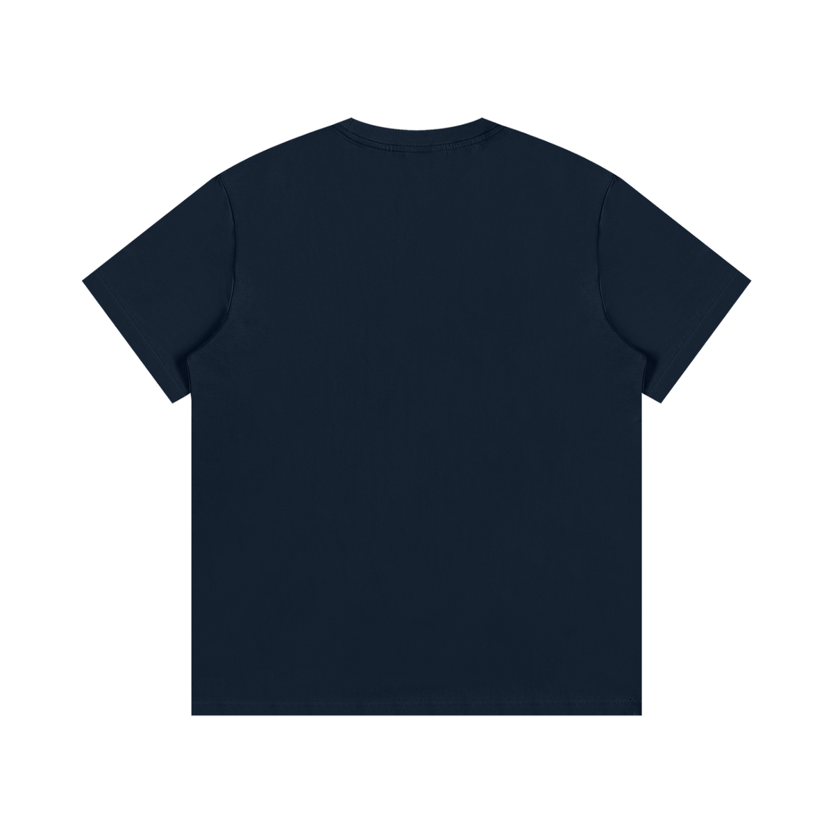 tshirt,cotton,unisex,cloth,graphic,apparel,streetwear,street,outdoor,casual,jesus,faith,christian,y2k,bible,scripture,hope,holy,grace