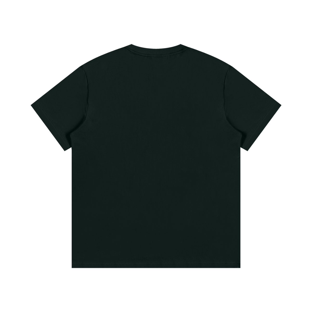 tshirt,cotton,unisex,cloth,graphic,apparel,streetwear,street,outdoor,casual,jesus,faith,christian,y2k,bible,scripture,hope,holy,grace
